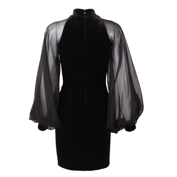 Sheath Lantern Sleeve, Velvet Bodycon Mini Dress - Picture 5 of 7